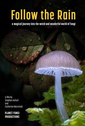 Follow the Rain's poster