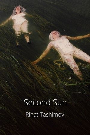 Second Sun's poster image