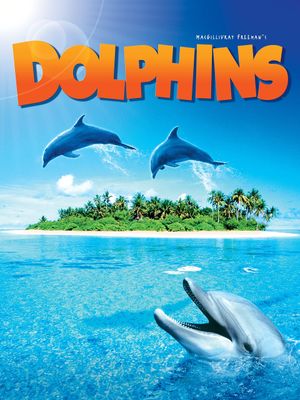 Dolphins's poster