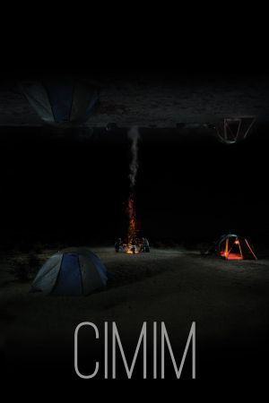 CIMIM's poster