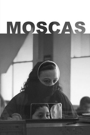 Flies's poster image