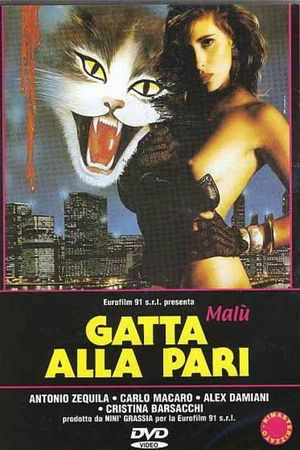 Gatta alla pari's poster