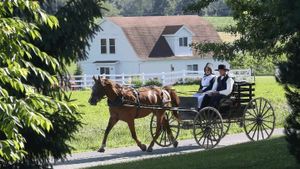 The Amish Dilemma's poster