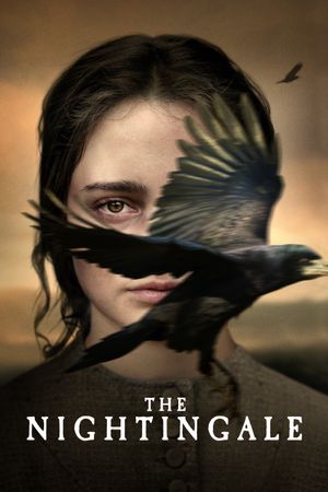 The Nightingale's poster