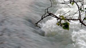 Il fiume, a ritroso's poster