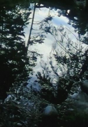 Crepescule Pond and Chair's poster