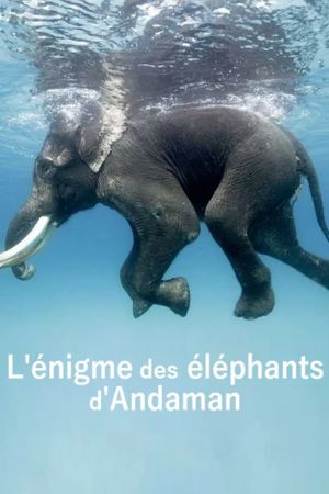 L'énigme des éléphants d'Andaman's poster