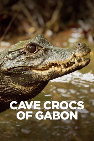 Cave Crocs of Gabon's poster