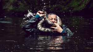 Animals on the Loose: A You vs. Wild Interactive Movie's poster