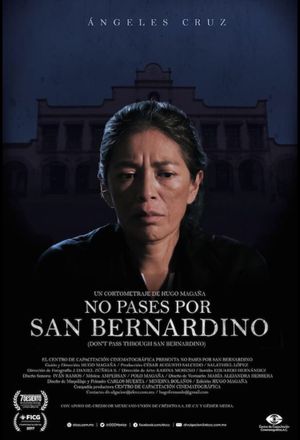 Don't Pass Through San Bernardino's poster