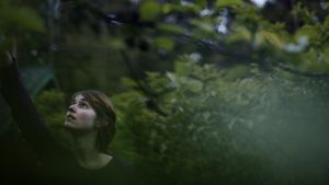 Without's poster