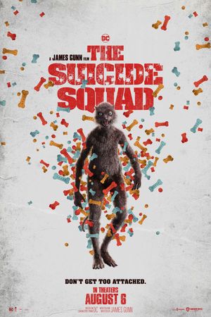 The Suicide Squad's poster