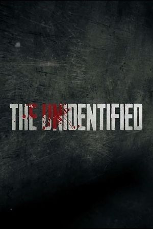 The Unidentified: Nedodirljivi's poster image