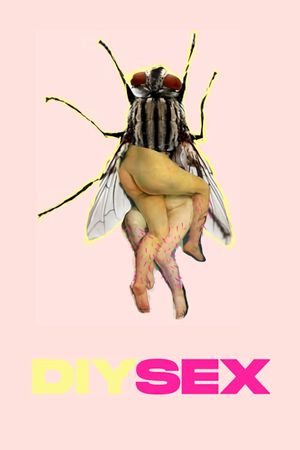 DIYSEX's poster