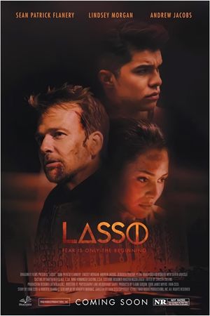Lasso's poster
