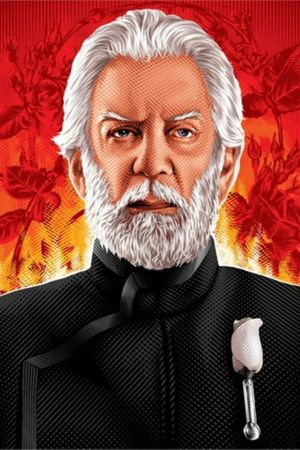 The Hunger Games: Catching Fire's poster