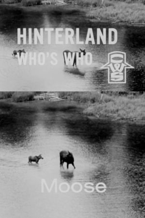 Hinterland Who's Who: Moose's poster
