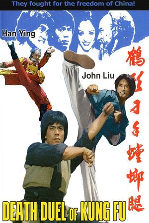 Death Duel of Kung Fu's poster