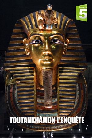 Tutankhamun: The Mystery of the Burnt Mummy's poster image