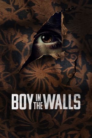 Boy in the Walls's poster