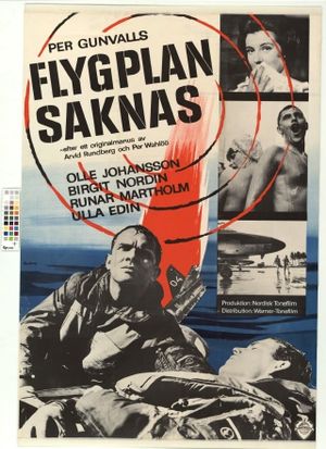 Flygplan saknas's poster
