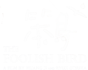 The Foolish Bird's poster