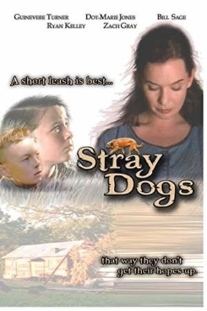 Stray Dogs's poster