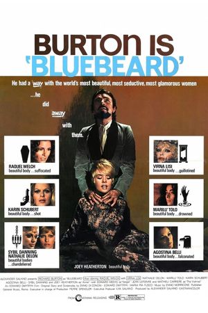 Bluebeard's poster