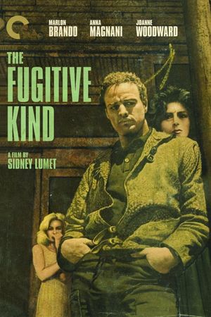 The Fugitive Kind's poster