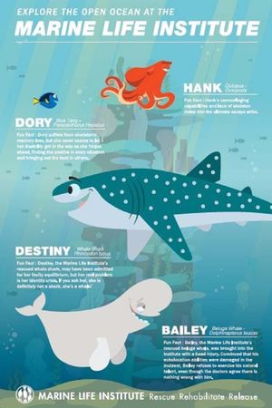 Marine Life Interviews's poster
