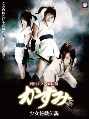 Lady Ninja Kasumi 10's poster