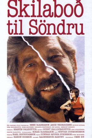 A Message to Sandra's poster