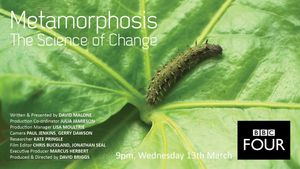 Metamorphosis: The Science of Change's poster