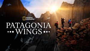 Patagonia Wings's poster