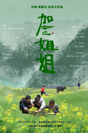 加一之姐姐's poster