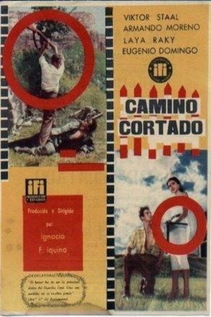Camino cortado's poster