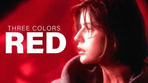 Three Colors: Red's poster