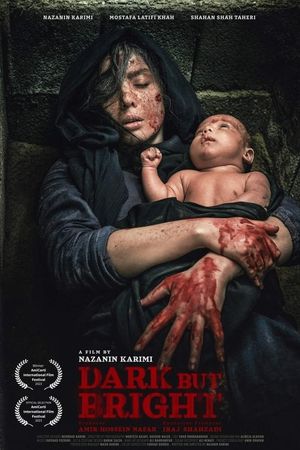Dark But Bright's poster
