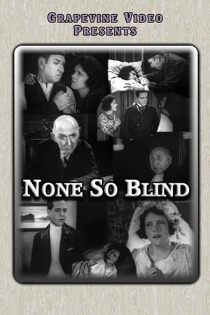 None So Blind's poster