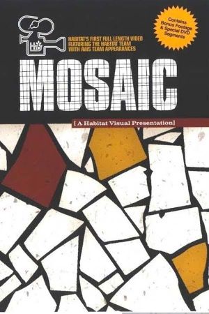 Mosaic's poster