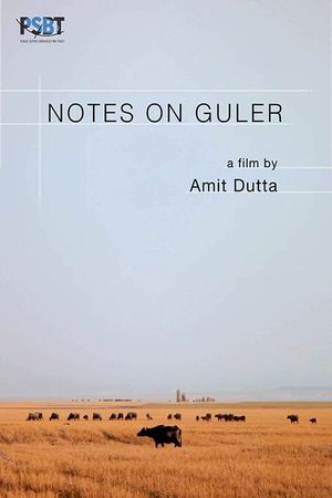 Notes on Guler's poster image