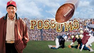 Possums's poster