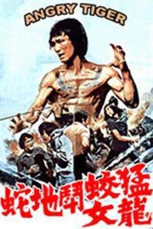 The Spirit of Bruce Lee's poster