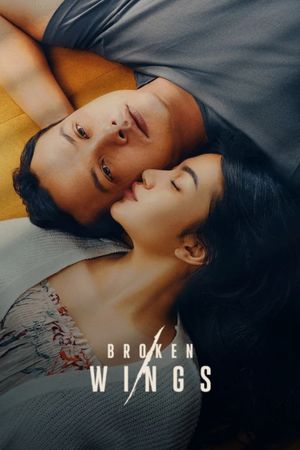 Broken Wings's poster