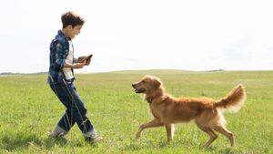 A Dog's Purpose's poster