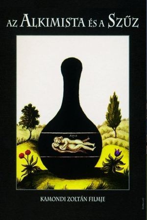 Az alkimista és a szüz's poster