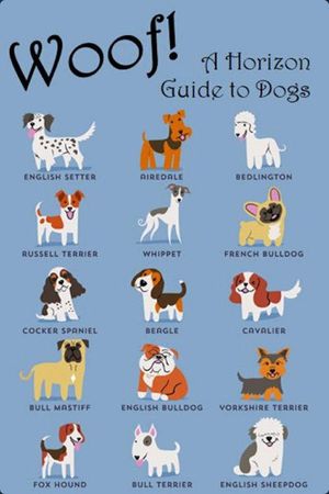 Woof! A Horizon Guide to Dogs's poster