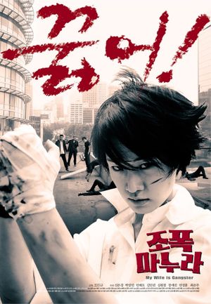 My Wife Is a Gangster's poster