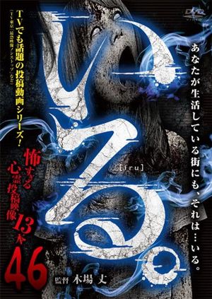「Iru.」~ Kowasugiru Tōkō Eizō 13-hon ~ Vol.46's poster