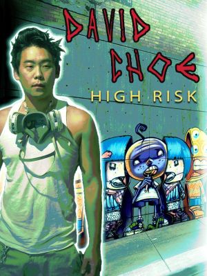 David Choe: High Risk's poster